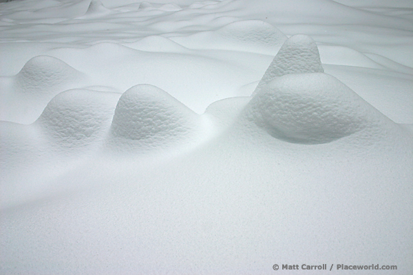 hilly landscape formed by trees buried in snow