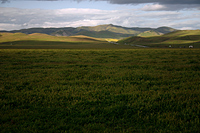 click to enlarge