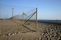 Restoration fence