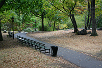 Central Park