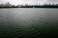 New York Skyline Across the Central Park Reservoir