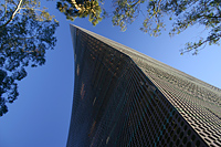 de Young Museum