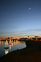 Christmas Trees on Alamitos Bay