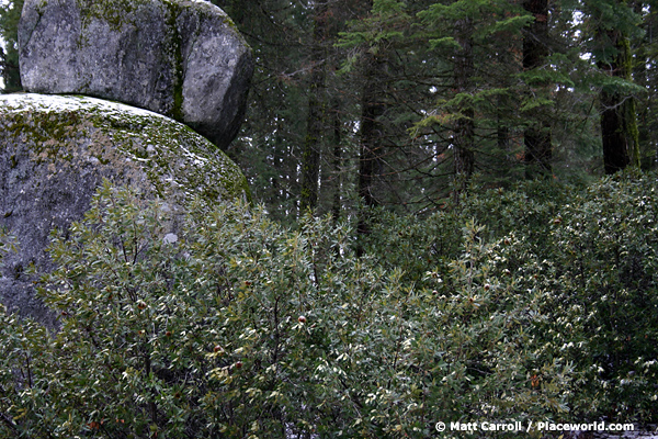 2 boulders in mountain forest