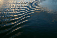 Boat Wake