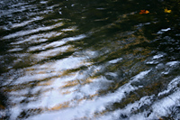 Mountain creek