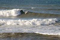 click to enlarge