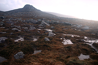 Moorland