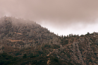 Snow Line
