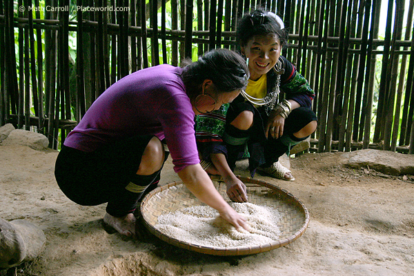 8195-rice-sorting
