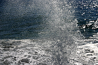 Ocean Spray on Rocky Point