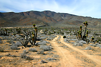 The Way Through the Sierra Colombia