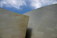Walt Disney Concert Hall