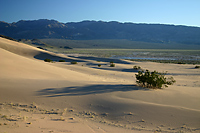 Sand Dunes Alongside Amargosa River