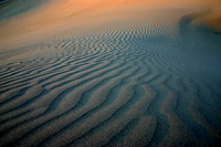 Sand Dune Formation