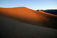 Glowing coral dunes