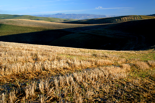 Cholame Hills, Diablo Range