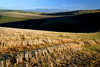 Cholame Hills Looking over the San Andreas Fault to the Diablo Range, California
