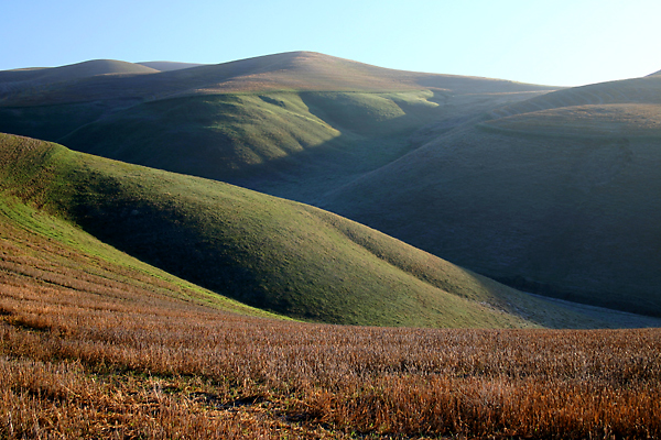 Megan's Hills