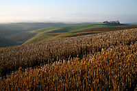 Looking Southeast over the Cholame Hills, California