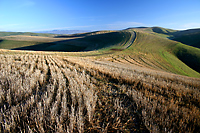 Ridge Road, Cholame Hills, California