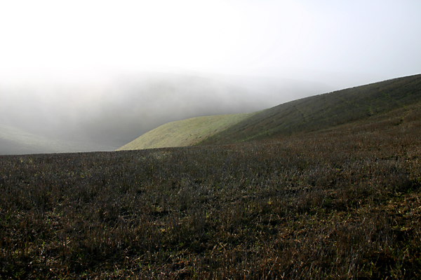 foggy slope