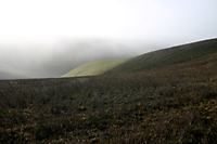 Foggy Slope, Cholame Hills, California