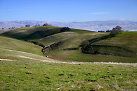 High Valley in Cholame Hills, Diablo Range in Background