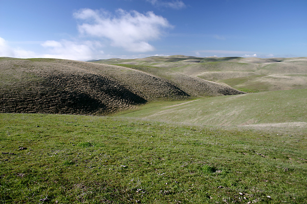 rolling grasslands