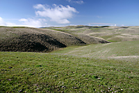 High Rolling Grasslands, Cholame Hills, California