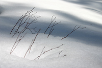 Snowpack in San Gabriel Mountains