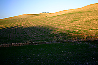 Late Afternoon in Malaga Province