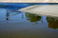 San Gabriel River #4